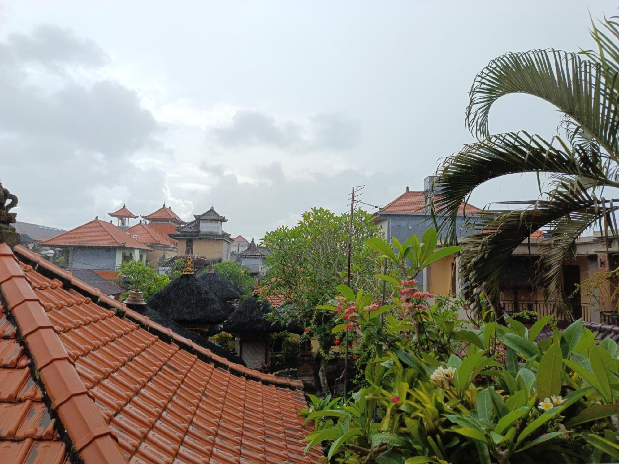 Nyoman House Ubud מראה חיצוני תמונה